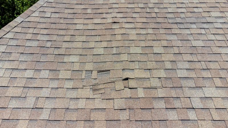 Asphalt Roof Inspection in Barto, PA