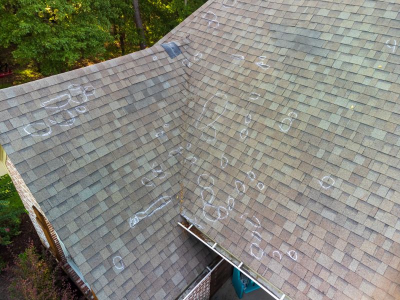 Asphalt Roof Inspection in Cheltenham, PA
