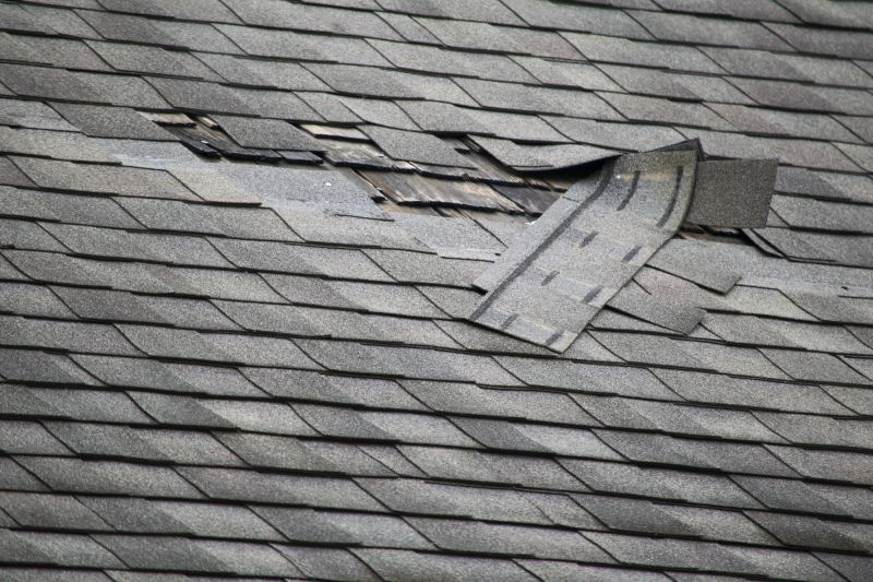 Asphalt Roof Leak Repair in Boyertown, PA