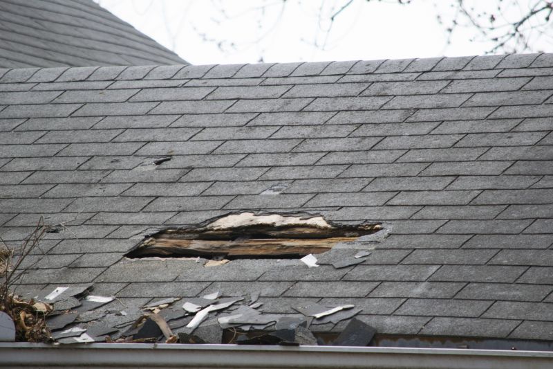 Asphalt Roof Leak Repair in King Of Prussia, PA