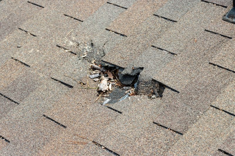 Asphalt Roof Replacement in Emmaus, PA