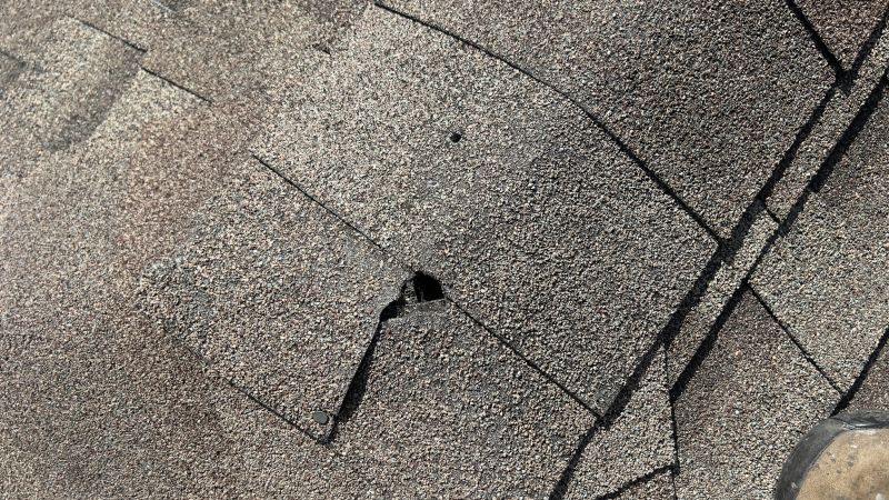 Damaged Roof Repair in Ambler, PA