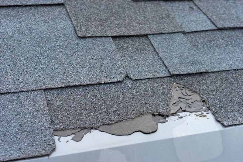 Damaged Roof Repair in Hatfield, PA