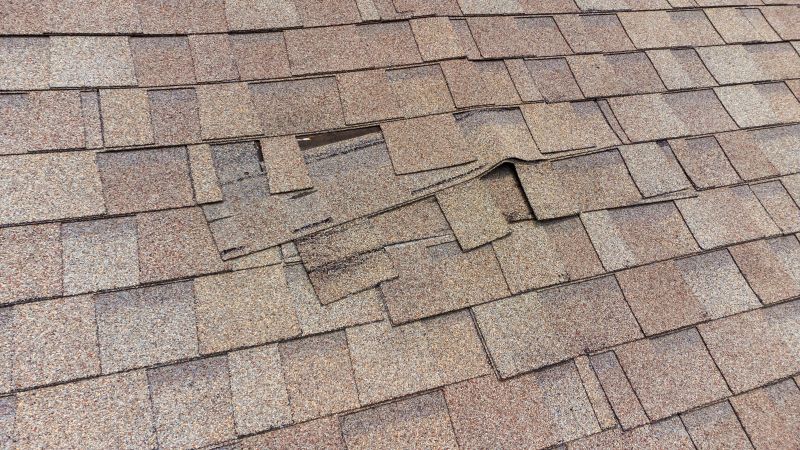 Roof Hail Damage Repair in Collegeville, PA