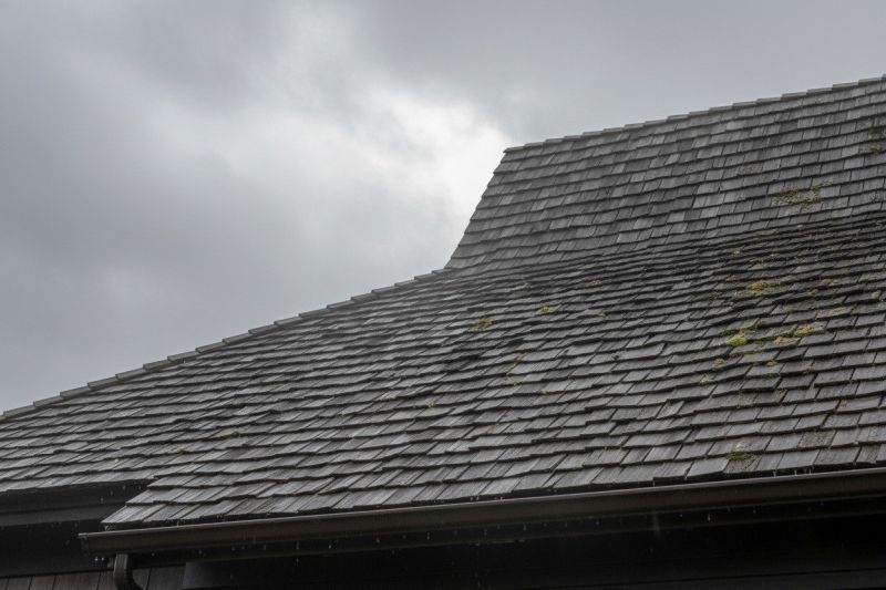 Wood Shake Roof Replacement in Cheltenham, PA