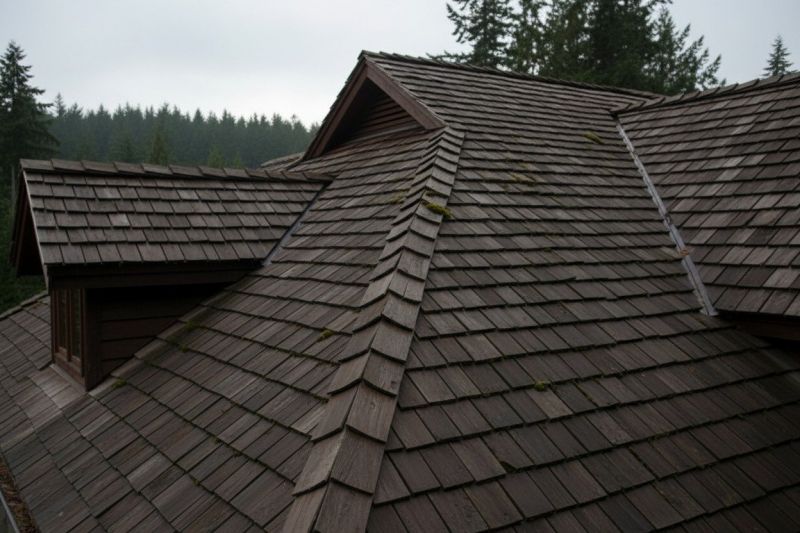 Wood Shake Roof Replacement in Elverson, PA